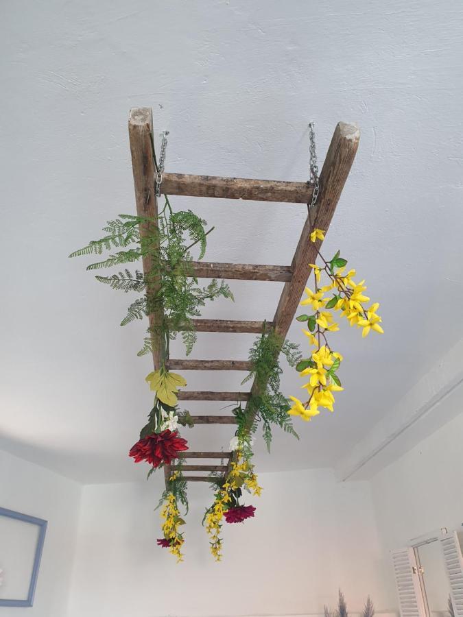 Infresh Holiday House Šibenik Extérieur photo